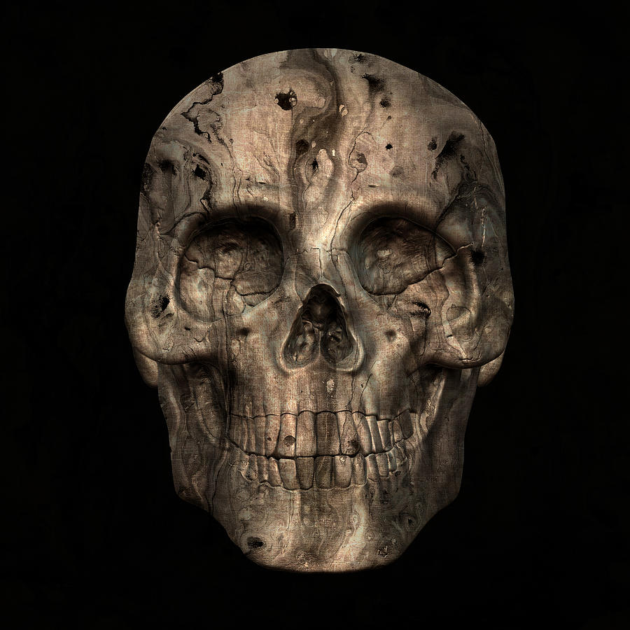 Skull Art 2 Digital Art by Sumit Mehndiratta