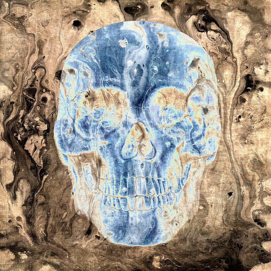 Skull art 3 Digital Art by Sumit Mehndiratta