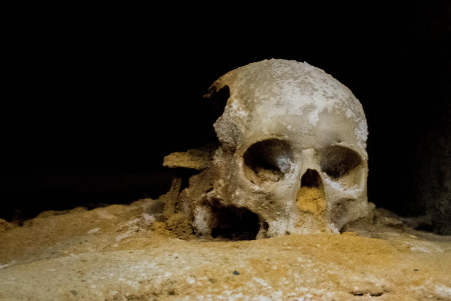 Skull, Cartagena, Spain, 2016 Photograph