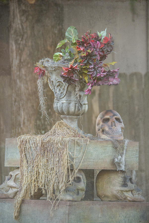 Skull Centerpiece Photograph by Pamela Williams