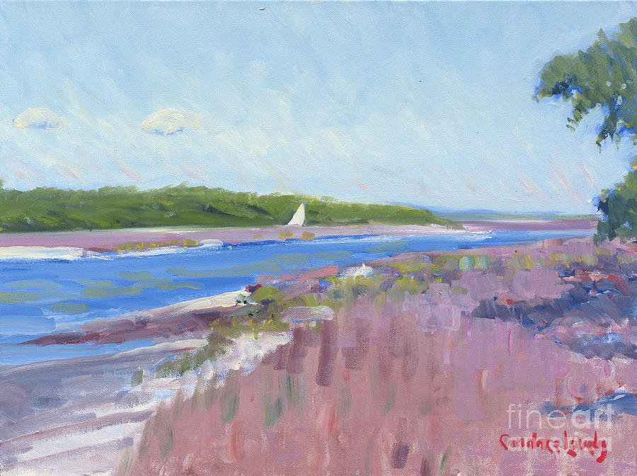 Skull Creek Marsh from Marina  Painting by Candace Lovely