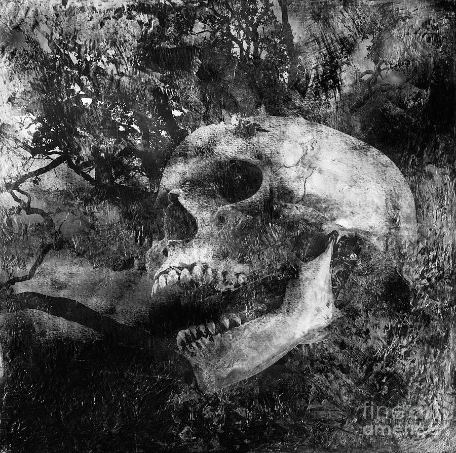 Skull, Death, Decay Painting by Stephen Humphries