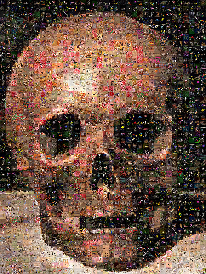 Skull Digital Art - Skull by Gilberto Viciedo