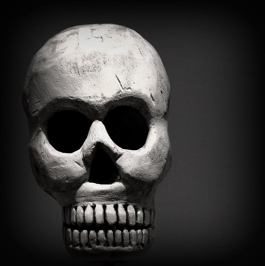 Skull Photograph by Joseph Skompski