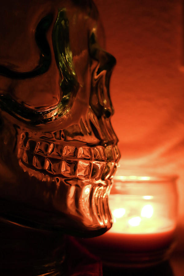 Skull Photograph by Lora Lee Chapman