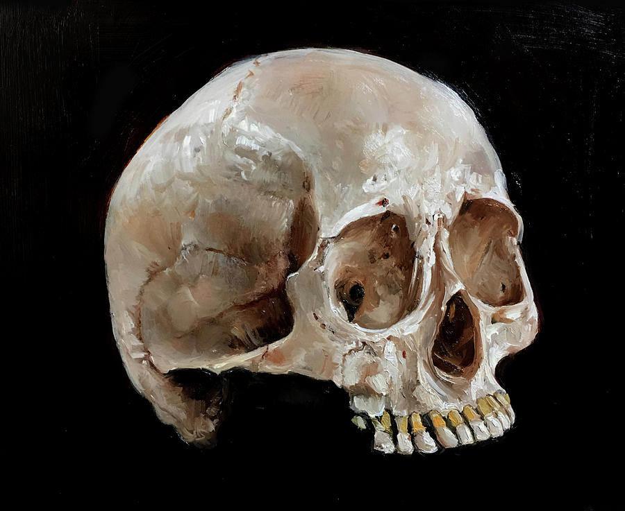 Skull Painting - Skull by Margot King