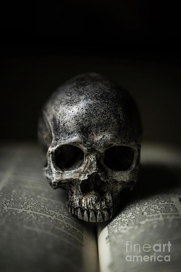 Skull on Book Photograph by Edward Fielding