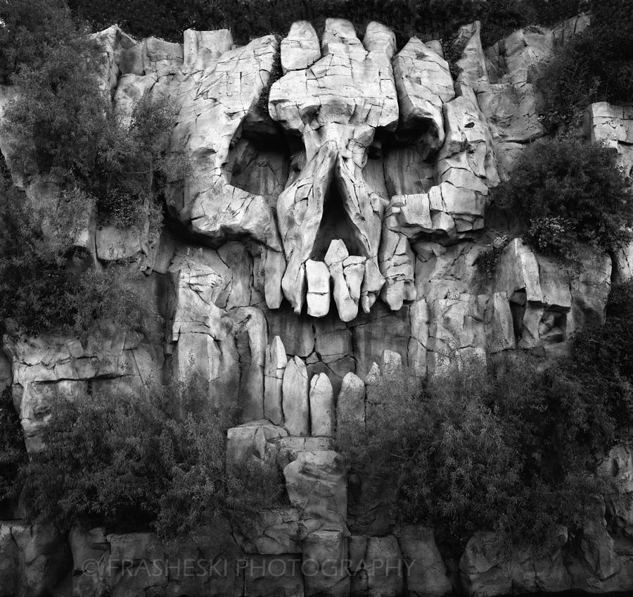 Skull Photograph - Skull Rock by Andy Frasheski