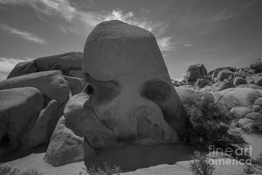 Skull Rock BW  Photograph by Michael Ver Sprill