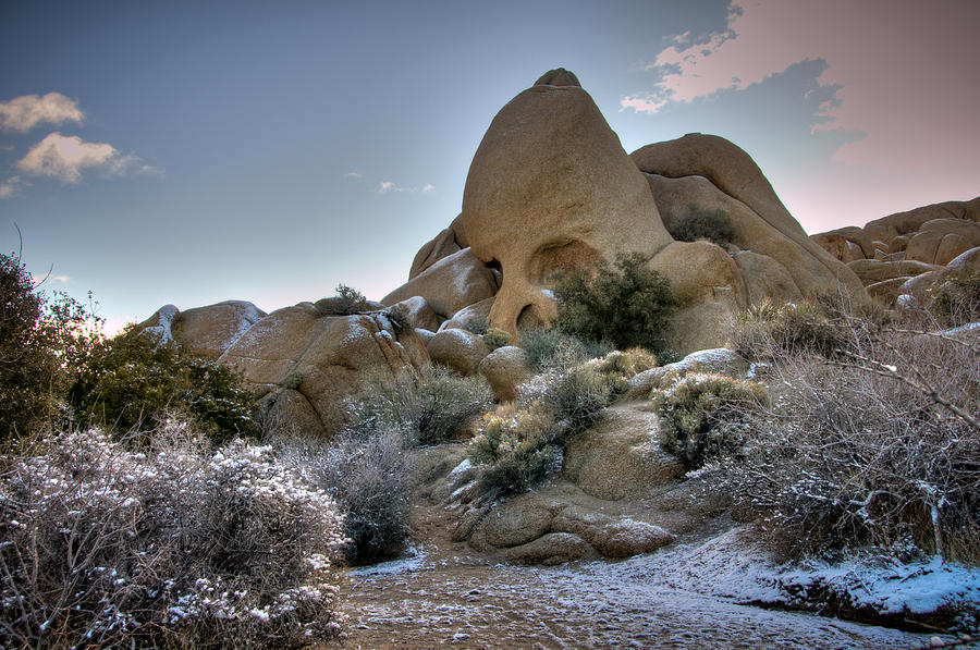Skull Rock in Snow Photograph by Connie Cooper-Edwards