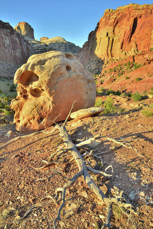 Skull Rock Photograph by Ray Mathis