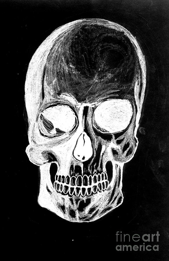 Skull Study 3 Drawing by Reed Novotny