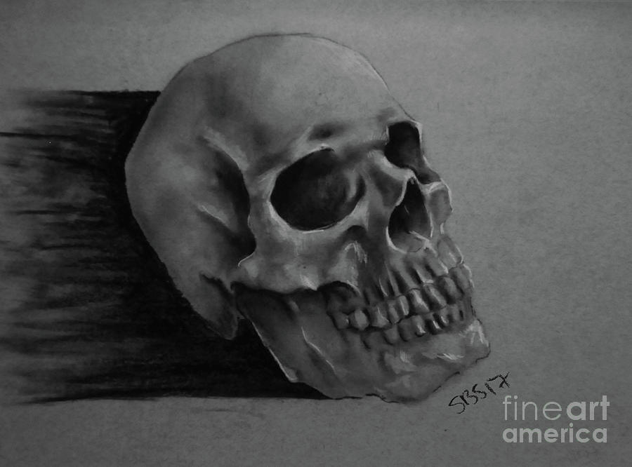 Skull Study Drawing by Samantha Strong Skull Study Drawing by Samantha Strong