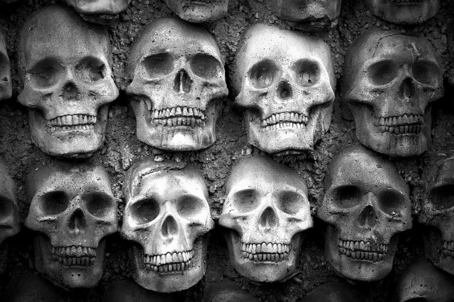 Skull Wall Photograph by Joseph Skompski