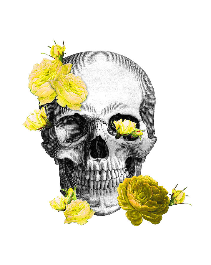 Rose Digital Art - Skull yellow roses by Madame Memento