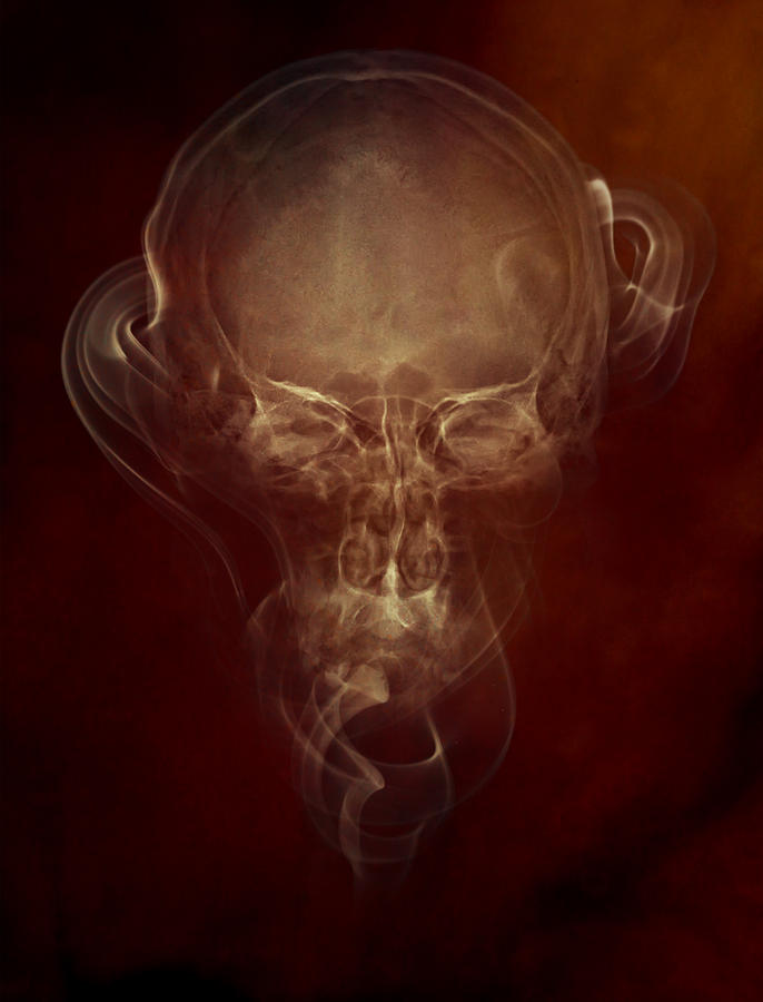 Skulls and smokes - red version Photograph by Jaroslaw Blaminsky