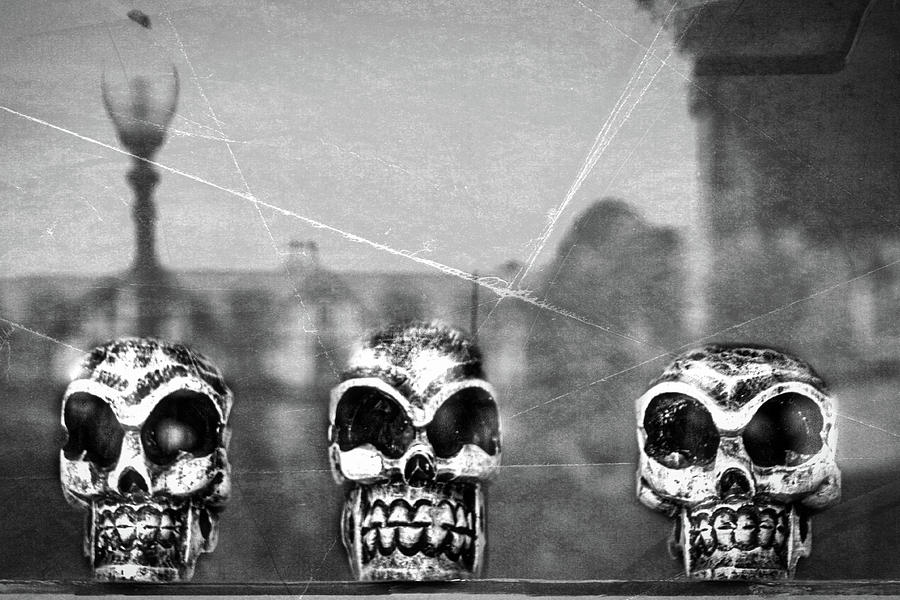 Skulls in a Window Photograph by Stuart Litoff