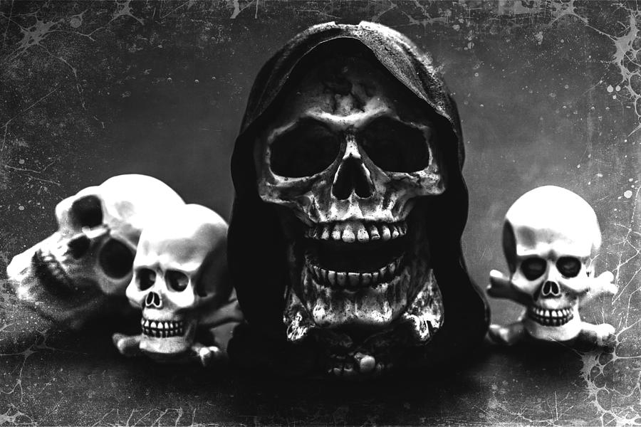 Skulls Photograph by Martina Fagan