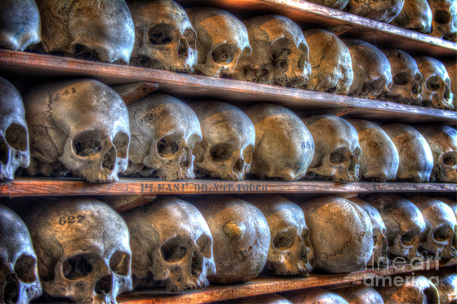 Skeleton Digital Art - Skulls by Nigel Bangert