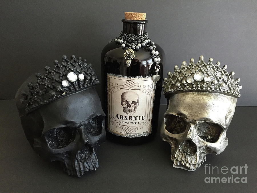 Skulls With Bottle of Arsenic - Halloween Prints Skull Art Arsenic Bottle  Photograph by Kathy Fornal
