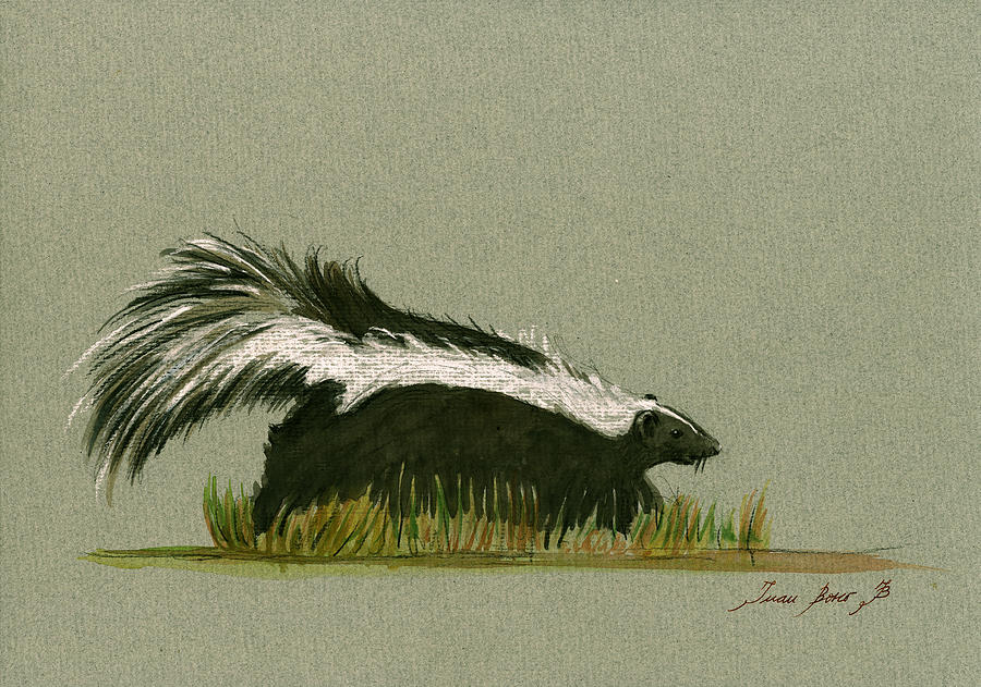 Skunk Painting - Skunk animal by Juan  Bosco