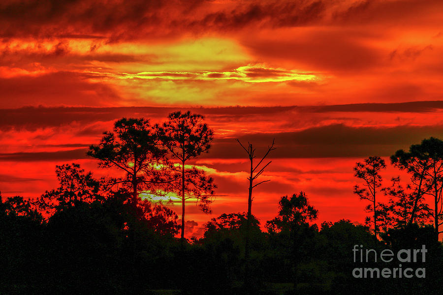 Sky Ablaze Photograph by Tom Claud