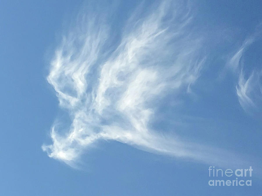 Sky Angel Photograph by Chris Scroggins