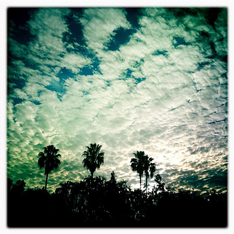 Palms and Clouds at the Gas Station Photograph by Anne Thurston