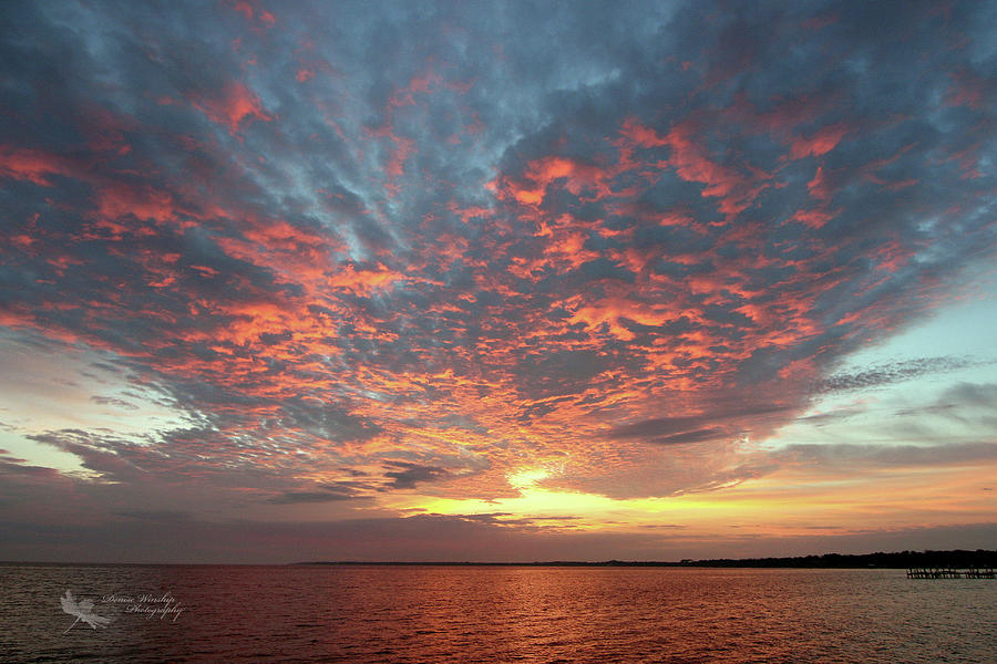 Sky Blue Pink Sunrise Photograph by Denise Winship