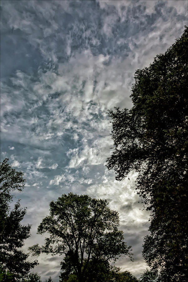 Sky Clouds and Trees Early Evening Photograph by Robert Ullmann