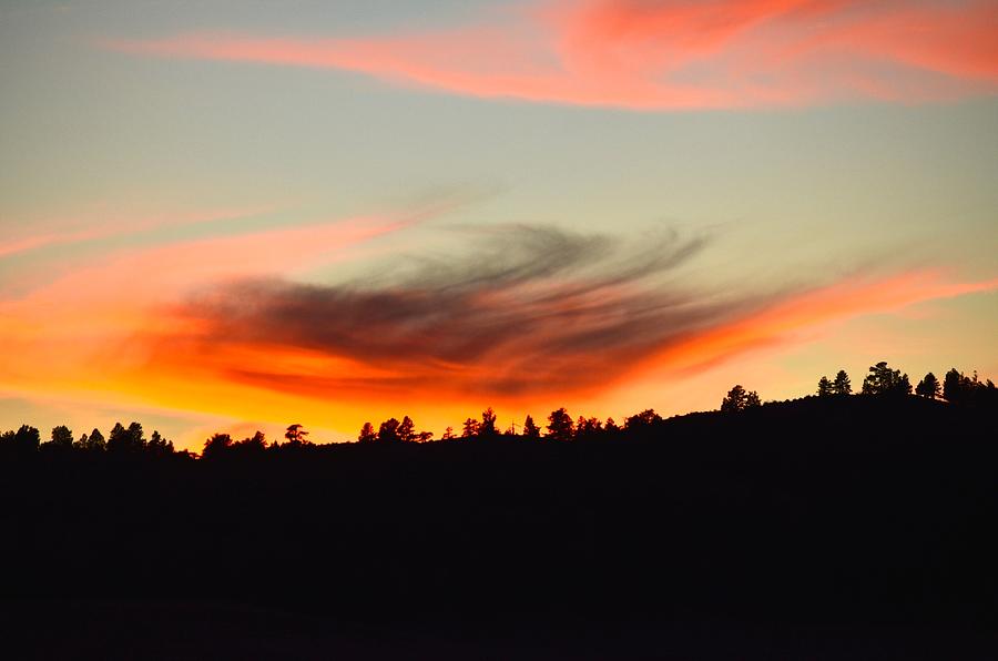 Sky Dance Photograph by Shayla McCullough - Fine Art America