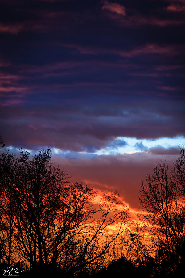 Sunset Photograph - Sky Fire by Phil And Karen Rispin