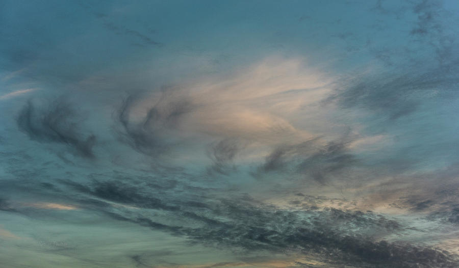 Nature Photograph - Sky Life by Steven Poulton