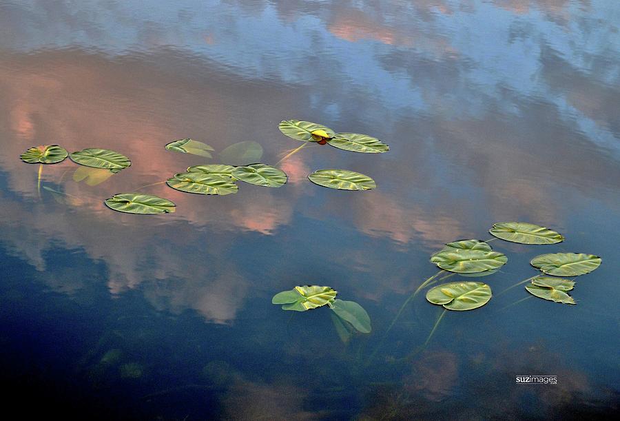 Sky Meets Water by Susie Loechler Sky Meets Water by Susie Loechler