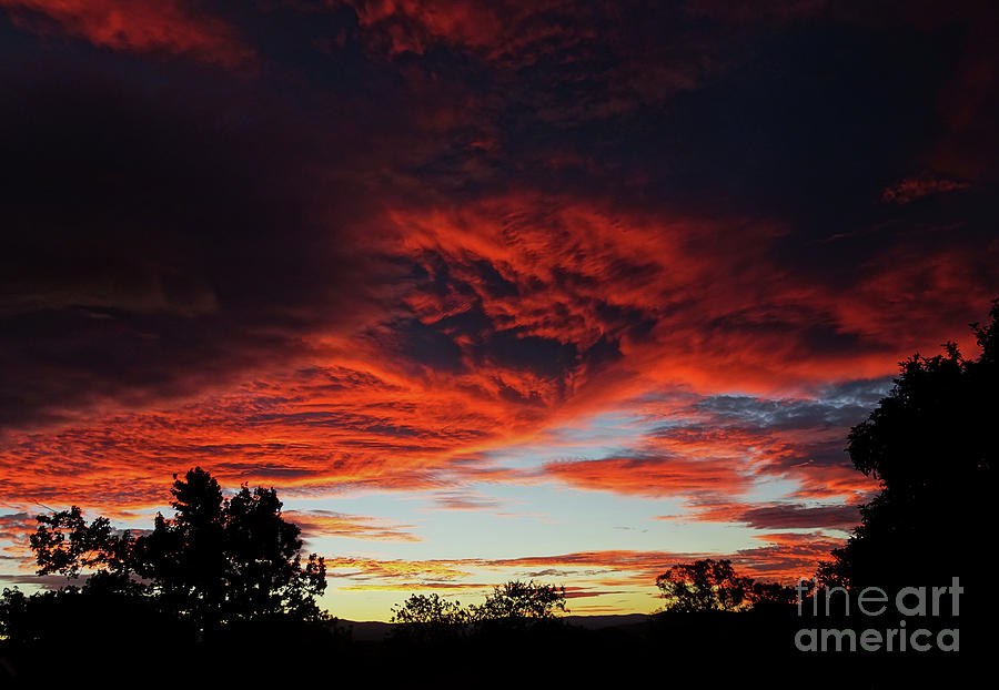 Sky on Fire Photograph by Angela DeFrias