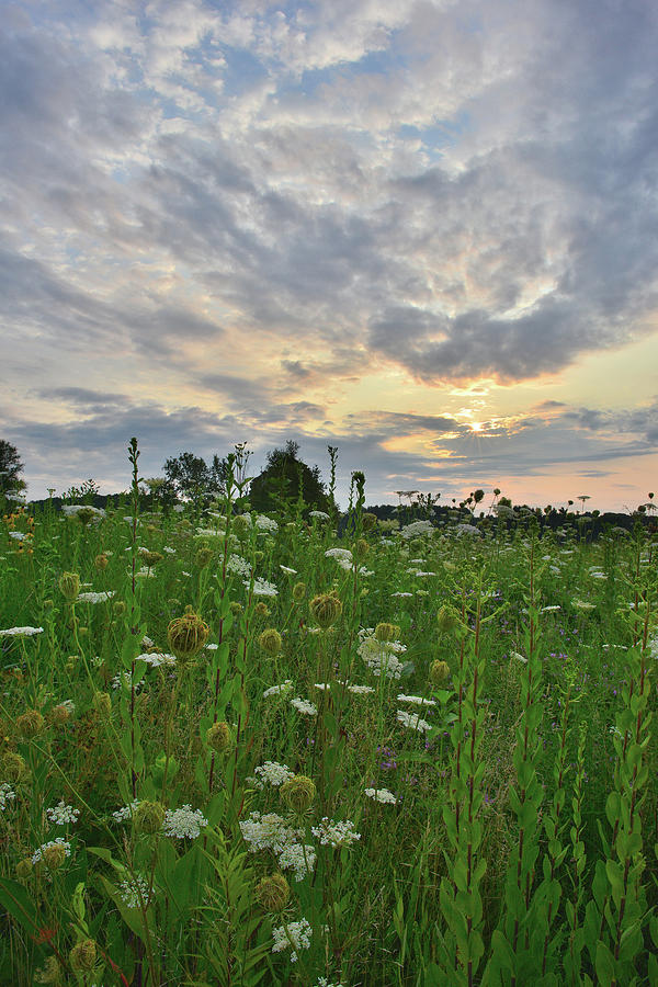 Sky Opens Up Over Pleasant Valley Conservation Area Photograph by Ray Mathis