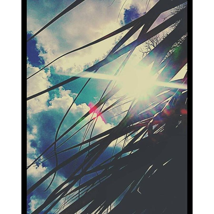 Tree Photograph - #sky #sun #sunshine #skyporn #skylovers by Peggy Hoefner