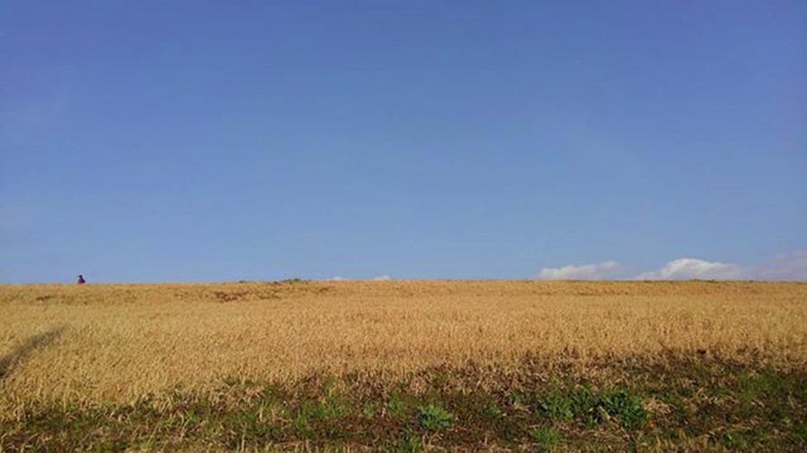 Sunnyday Photograph - Sunnyday by Kumiko Izumi Sunnyday Photograph - Sunnyday by Kumiko Izumi