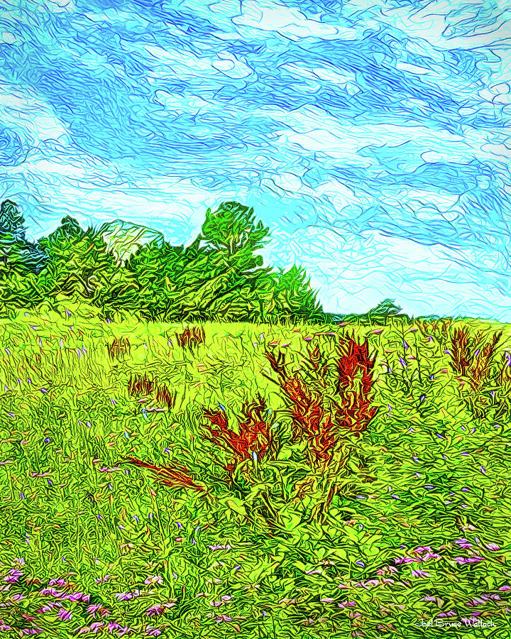Sky Touches Wildflowers - Hiking View In Boulder Colorado Digital Art by Joel Bruce Wallach