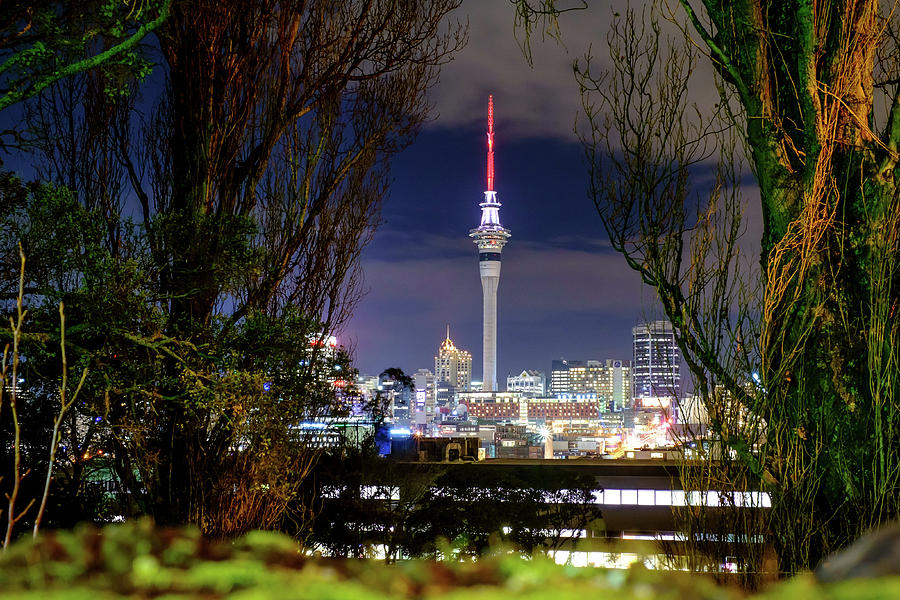 Auckland Photograph - Sky Tower by Jose Maciel