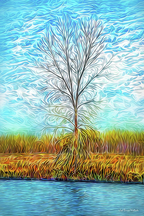 Sky Tree Fusion Digital Art by Joel Bruce Wallach