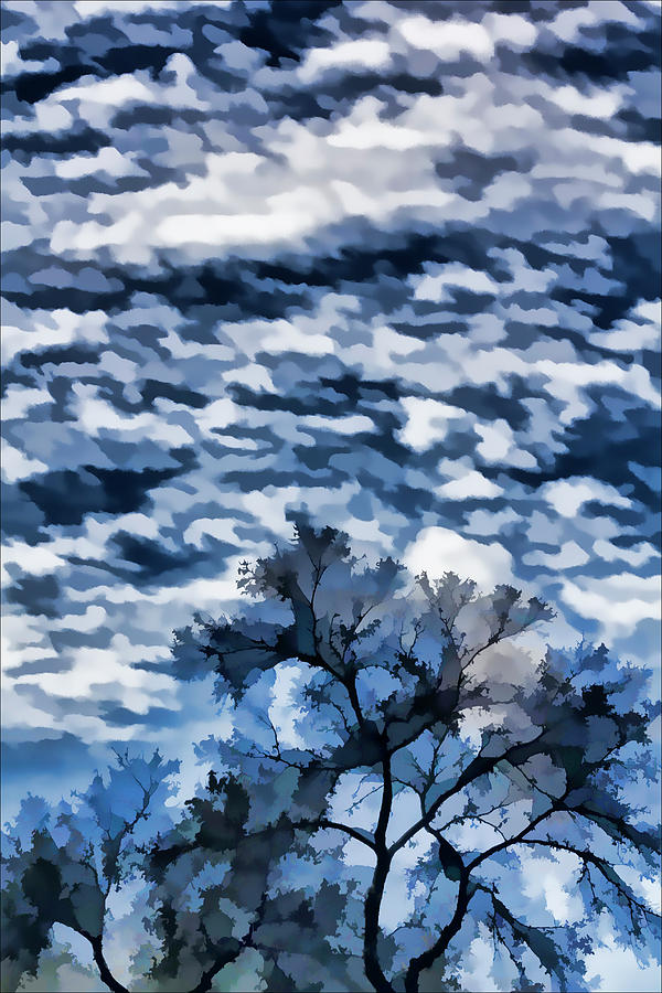 Sky Trees and Clouds - Digital Art Photograph by Robert Ullmann
