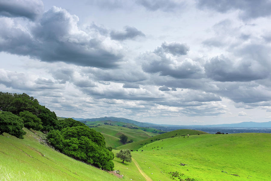 April Clouds and Green Hills Garin Regional Park Hayward California ...