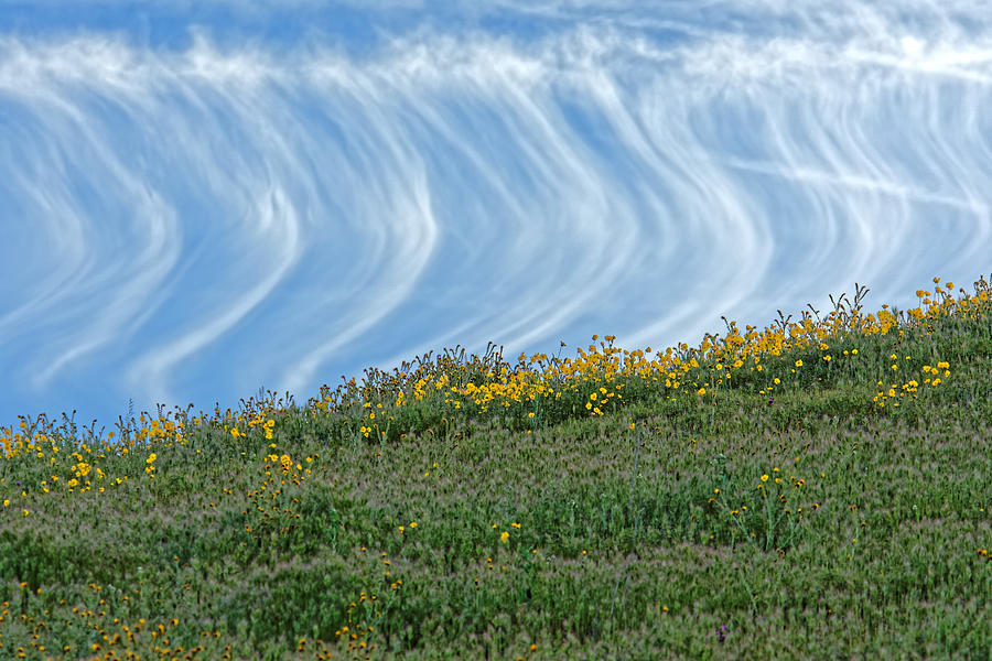 Skydance -- Clouds and Wildflowers at Carrizo Plain National Monument, California Photograph by Darin Volpe