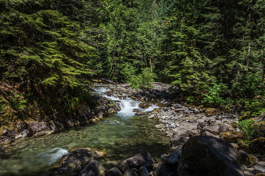 Skykomish River- 3 Photograph by Calazone's Flics