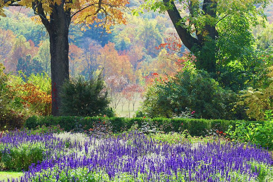 Skylands Manor Nj Botanical Gardens Photograph By Cris Pizzio