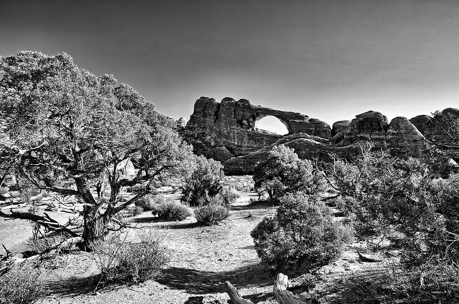 Skyline Arch in Arches National Park Photograph by Kyle Lee