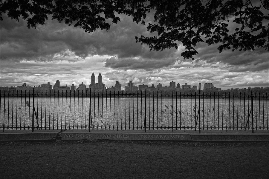 Skyline Central Park Reservoir NYC  Photograph by Robert Ullmann