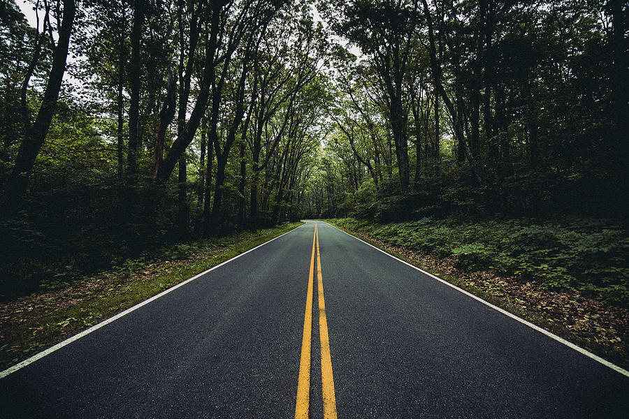 Skyline Drive Photograph by Chris Marcussen - Fine Art America