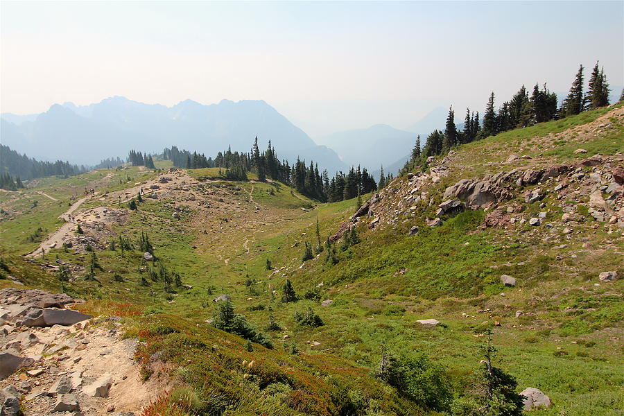 Skyline Loop Trail IV Photograph by Nicholas Miller - Fine Art America